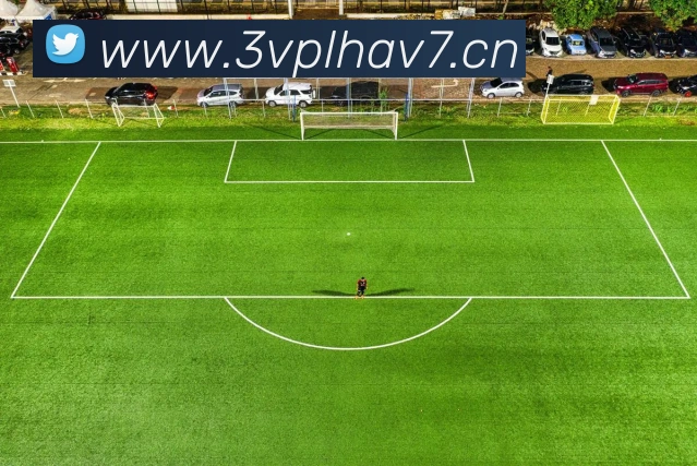 多媒体互动体验